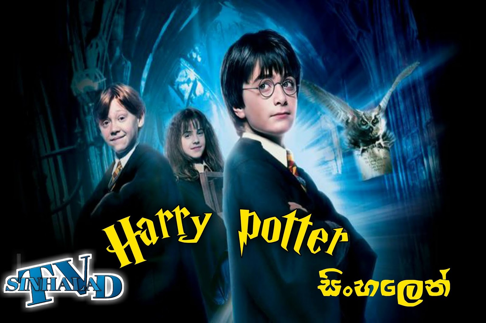 Harry Harry