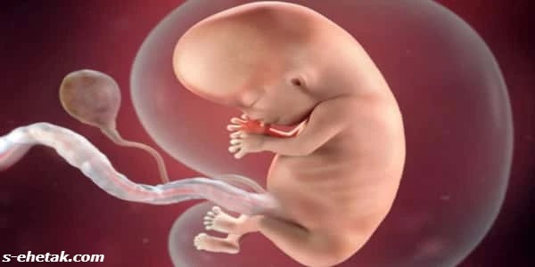 تجربتي مع نزول المشيمة تجربتي مع نزول المشيمة