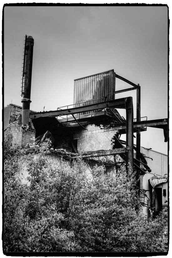 Wanderung In Noch Unbekanntem Wald Mit Sturmschadenklettereien