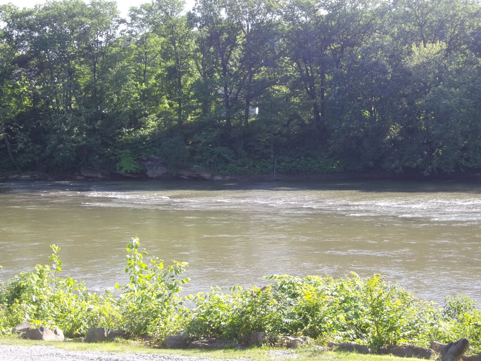 Indiana County Tourist Bureau Saltsburg Canal Days Festival