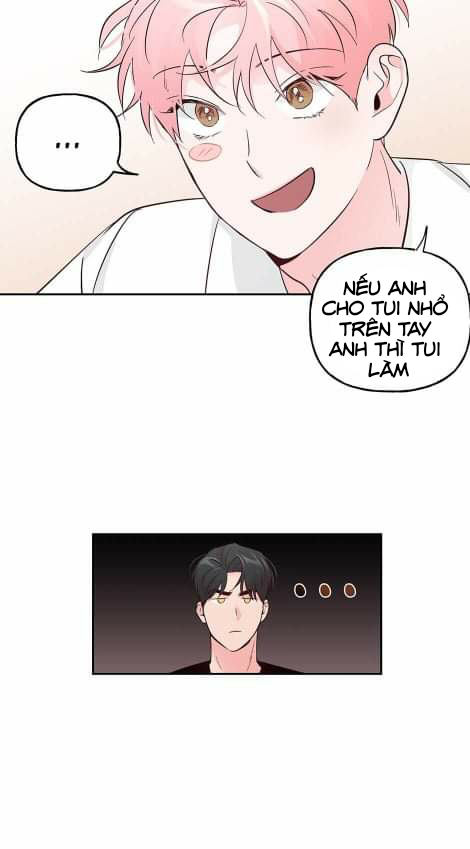 Đọc truyện Assorted Wildness - Chapter 40