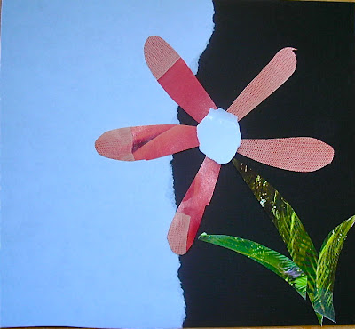 Fine Lines: Contour Lines Collage