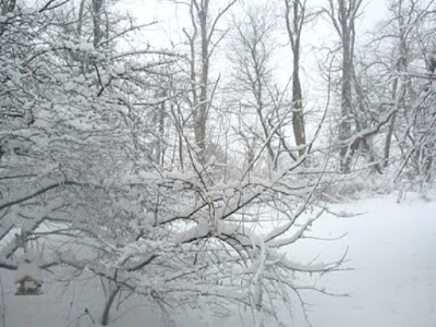 2010 Pennsylvania Blizzard