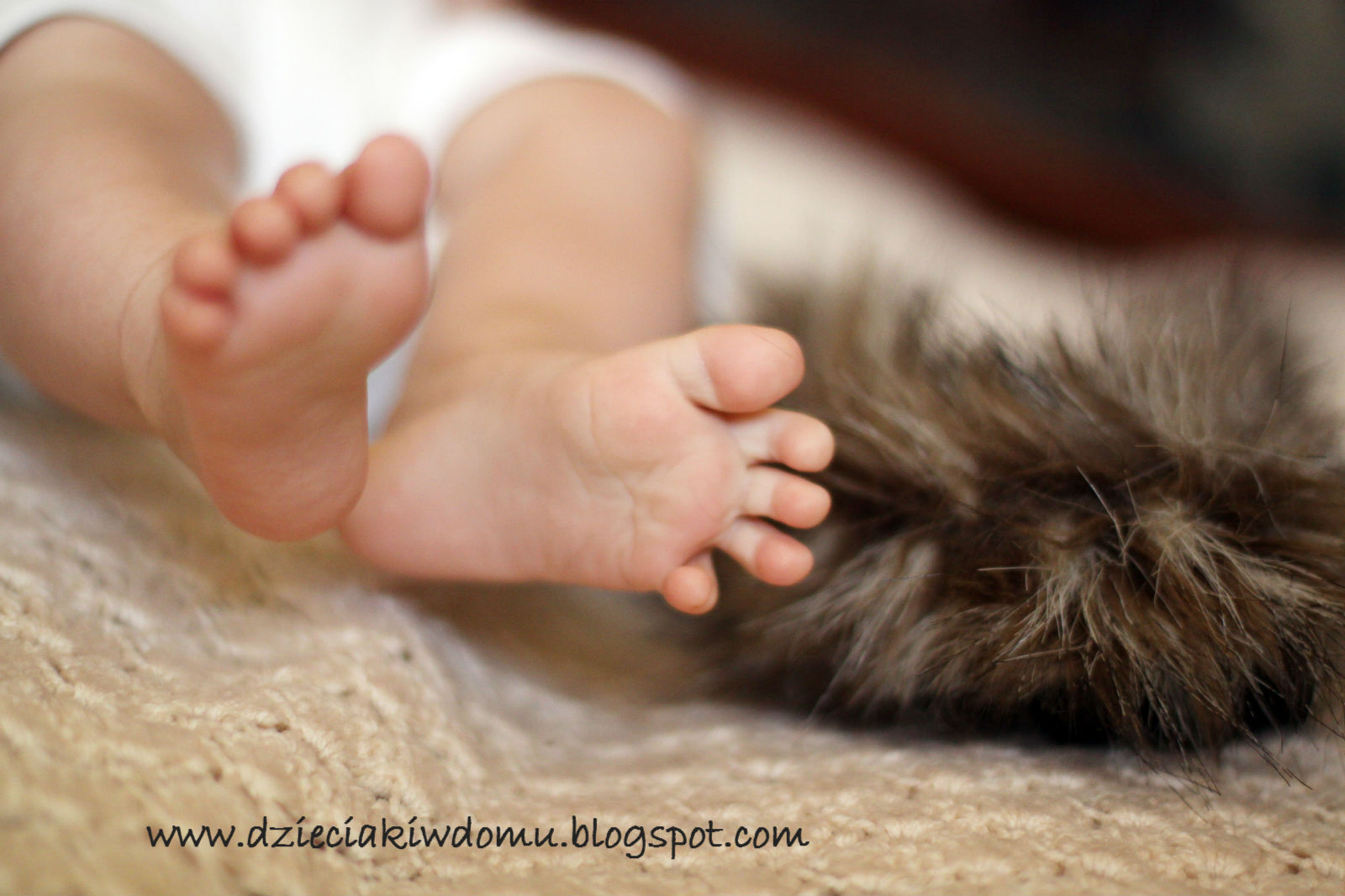 masaż stópek niemowlaka z wykorzystaniem różnych faktur