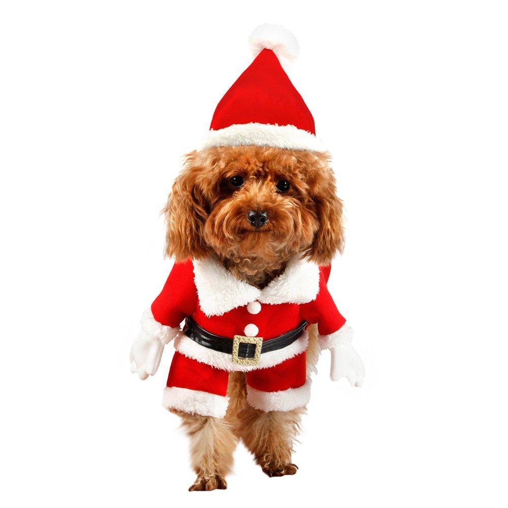 10 Christmas Presents Ideas For Pets Under $50 - Holidays Blog For You