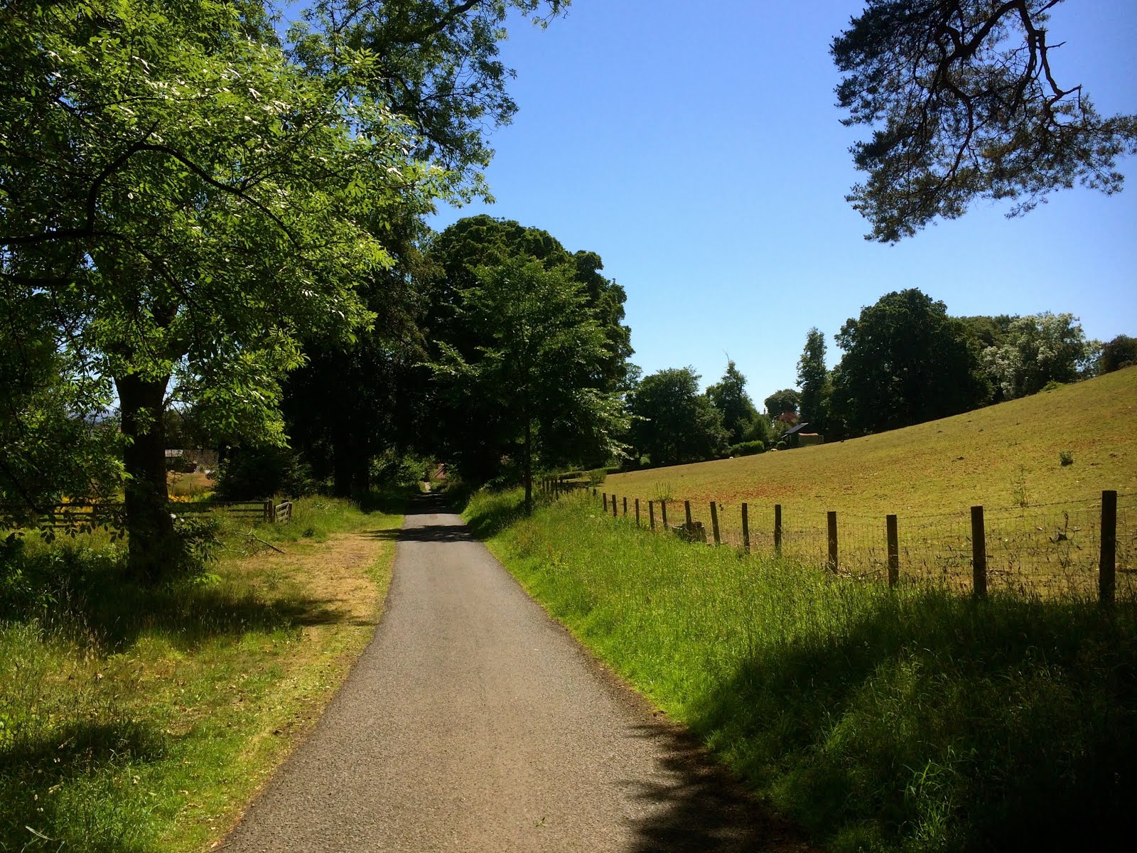 Days out in the Borders Wooler Common And Earle Circular Walk