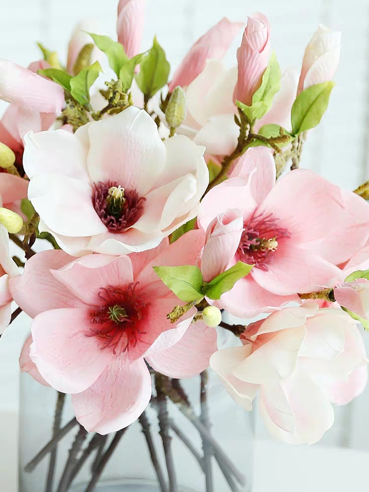 20Pink flowers give us a fresh, warm and refreshing feeling, come to ...