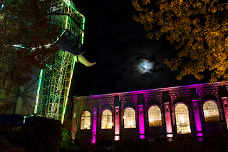 Fotokunst Langzeitbelichtung Herbstleuchten Maximilianpark Hamm ICM