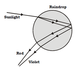 Image Result For Explain How Is A Rainbow Formed Science And Technology Image Result For Explain How Is A Rainbow Formed Science And Technology