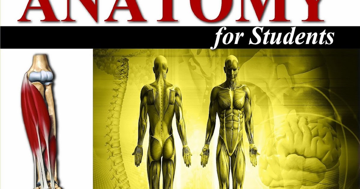 FREE ANATOMY BOOKS FOR MEDICAL STUDENTS visual data 4