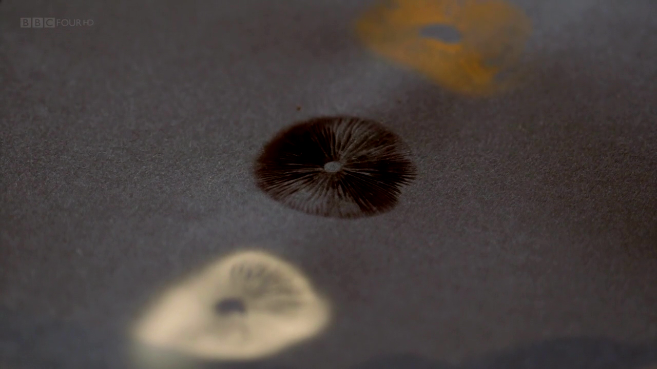 Asadal BBC The Magic of Mushrooms (2014)
