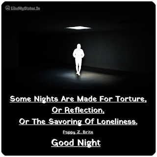 Some Nights Are Made For Torture, Or Reflection, Or The Savoring Of Loneliness. - Poppy Z. Brite
