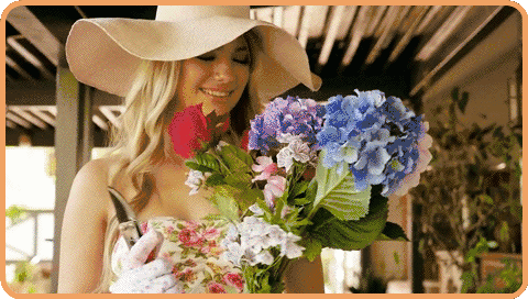 rounded_corners%2B%25282%2529.gif