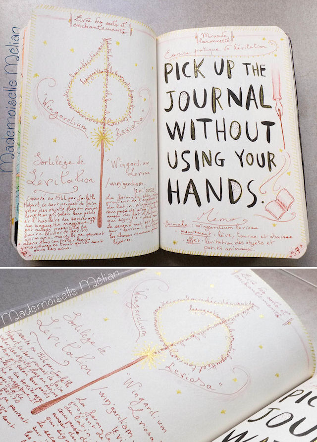 Activité Wreck this Journal / Saccage ce mes pages Harry Potter