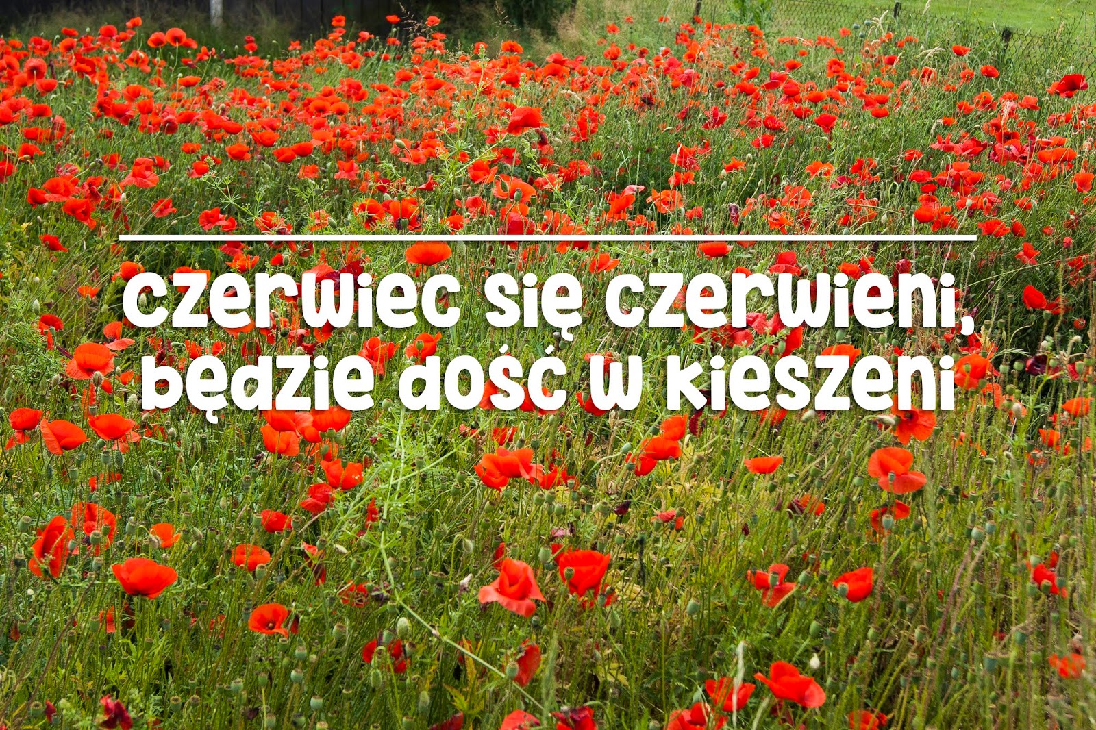 Kiedy Luty Pofolguje Marzec Zimę Zreperuje Przysłowia, nie tylko o miesiącach