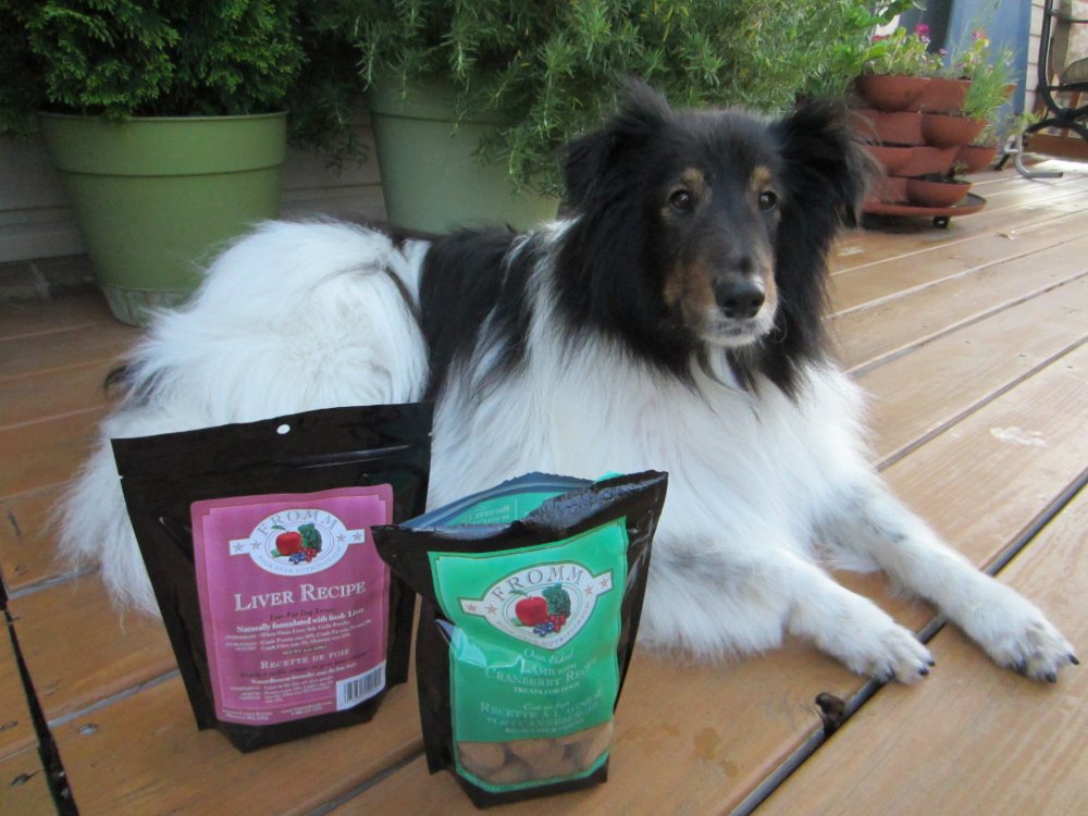 Cowspotdog Fromm Treats Review and Giveaway