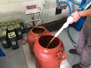 ΕΛΑΙΟΤΡΙΒΕΙΟ ΧΑΤΖΗΑΝΔΡΩΝΗ