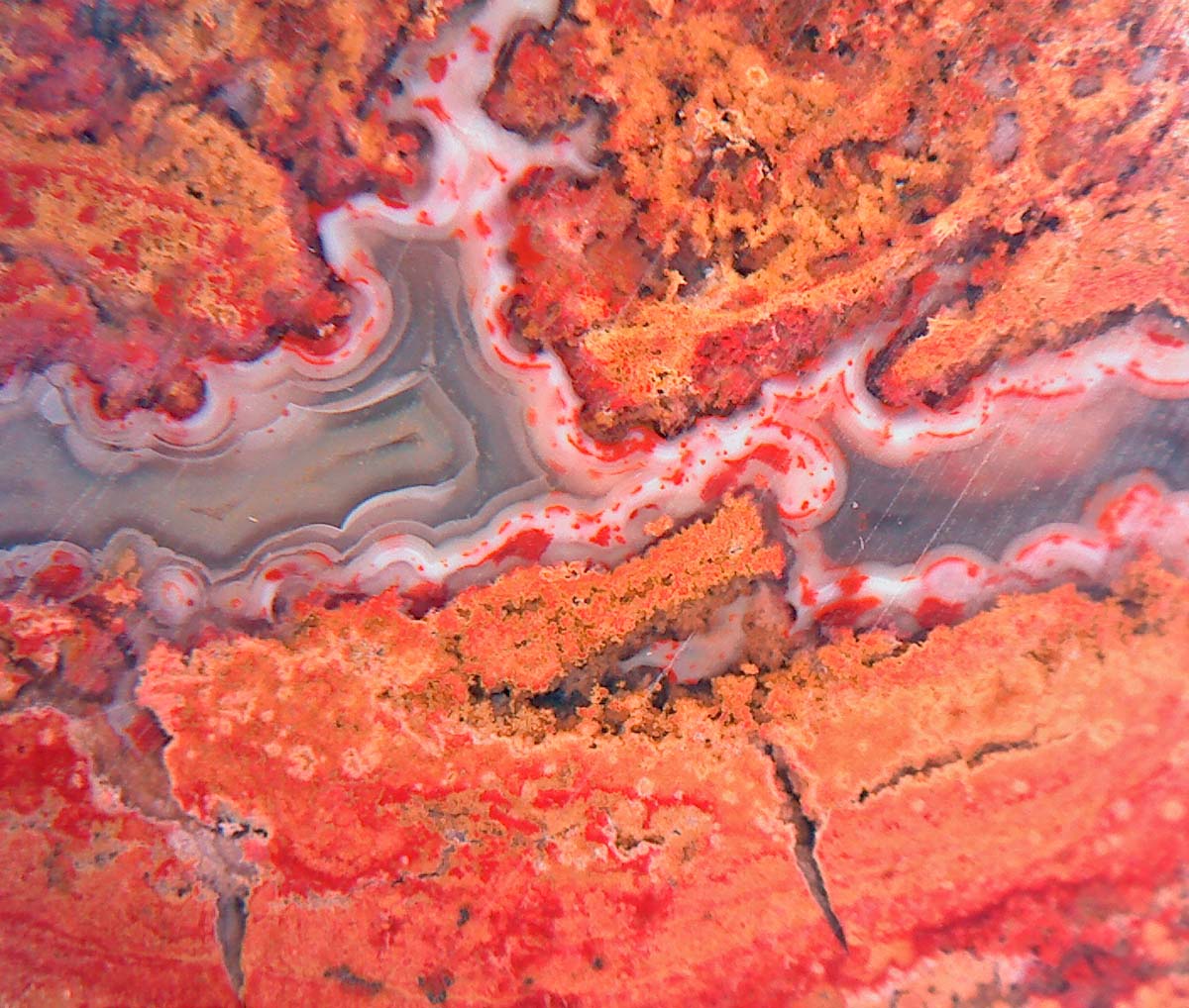 The Agatelady: Adventures and Events: Agates Close Up, Bay Update, and More