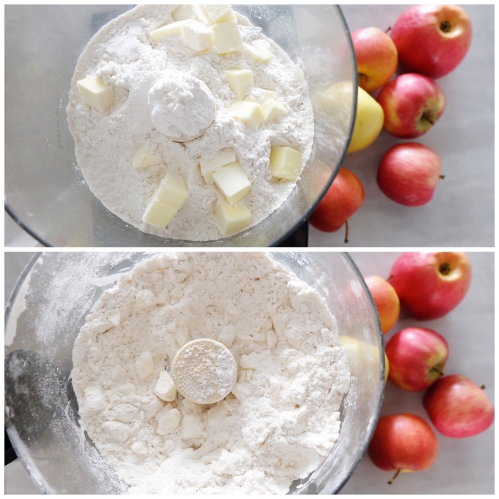 flour and butter in food processor