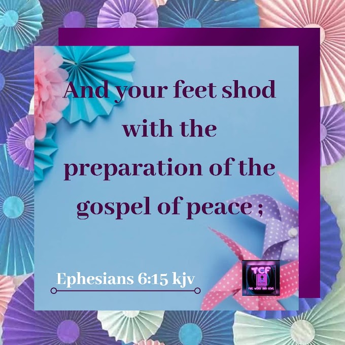 daily devotional: the armour of the gospel of peace