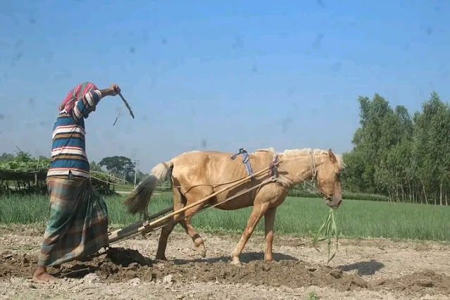 বিভিন্ন পিকচার, বিভিন্ন পিক, বিভিন্ন ধরনের পিকচার ডাউনলোড, বিভিন্ন ধরনের পিকচার