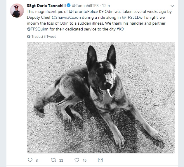 Canada 2 0 Odin Addio Al Cane Poliziotto Di Toronto