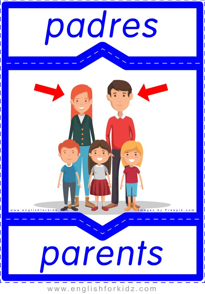 Members parts. Английский parents. Parents English Flashcards. A member of the Family. Family Flashcards.