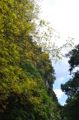 Wind Cave, Clear Water Cave, Lang Cafe dan Deer Cave Perjalanan menuju caving di Mulu