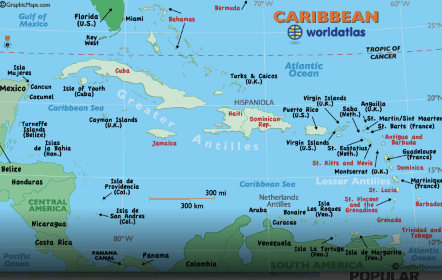 The Physician Anthropologist HAVE YOU READ ST.KITTS AND NEVIS OBSERVER