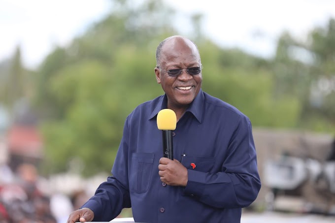 Rais Magufuli Ampongeza Mkuu wa Mkoa wa Shinyanga Kwa Kuchapa Kazi Vizuri