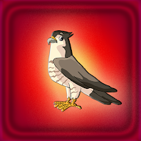 Cute Falcon Bird Escape Walkthrough