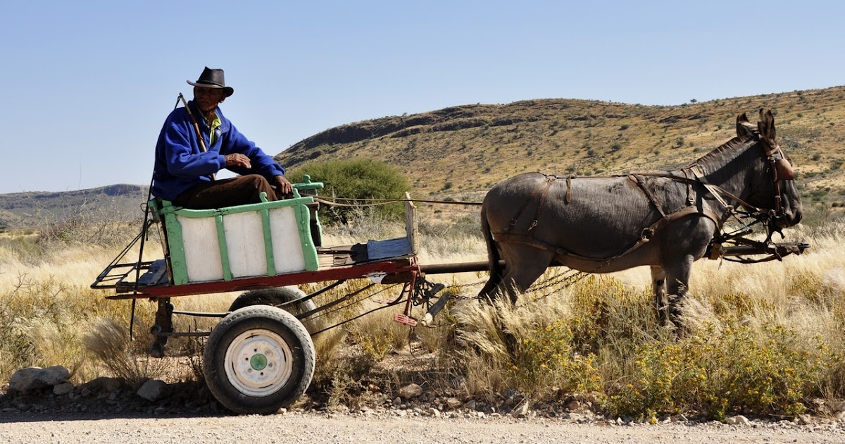 "Carrot and stick" nghĩa là gì?