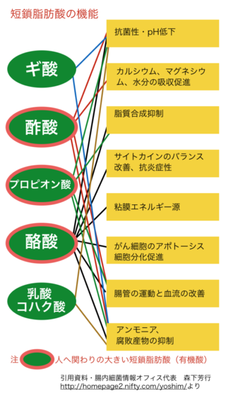 短鎖脂肪酸の中で、"酪酸" が唯一、<br>抗癌/抗炎 (PAK遮断) 作用を発揮！