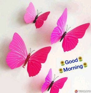 Good Morning Imag Good Morning Imag