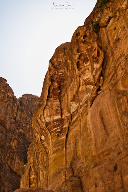 Rocas de colores en el Siq. Petra. Petra_Guia_Jordania