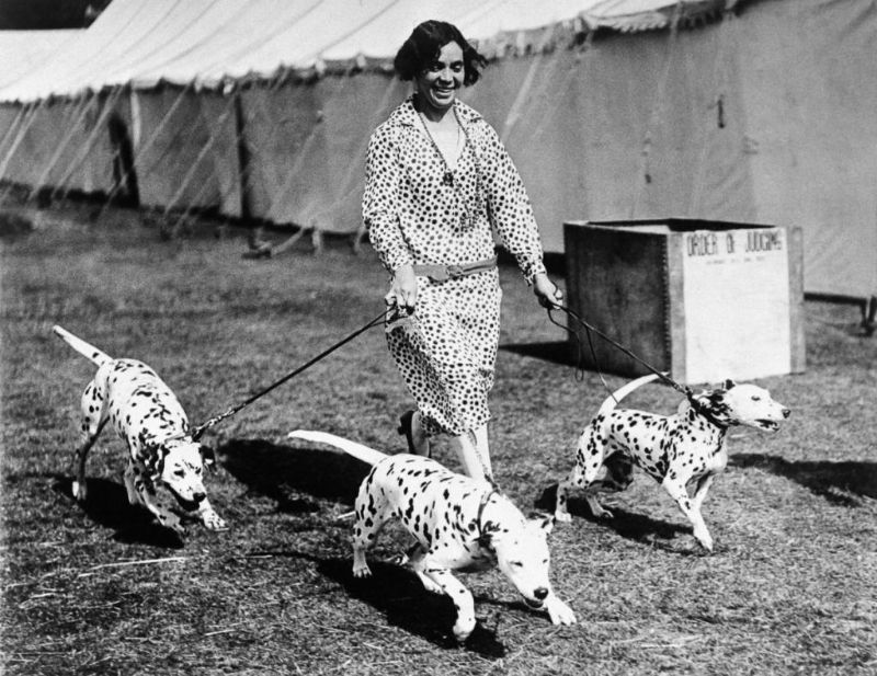 22 Lovely Photos That Capture Vintage Dog Shows in the Early 20th