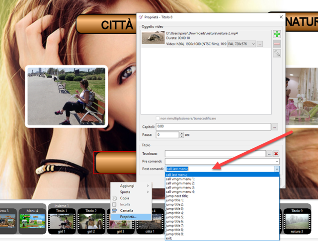 call-last-menu-dvdstyler call-last-menu-dvdstyler
