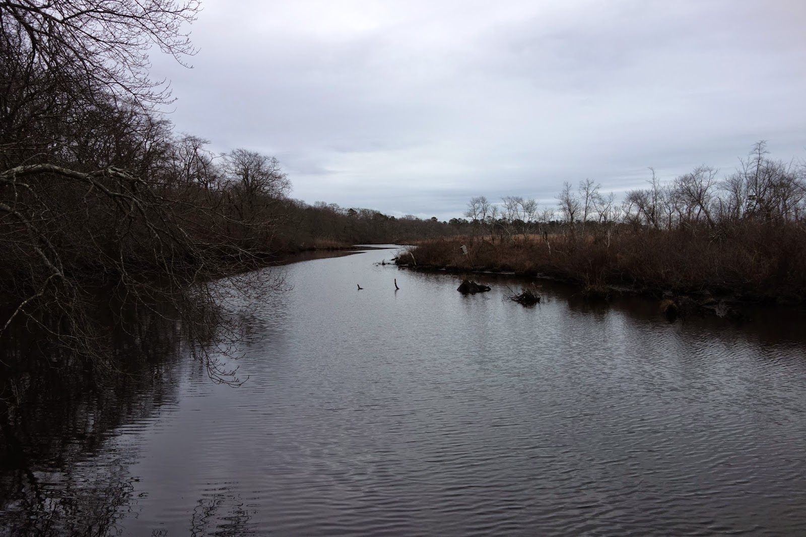 Law Offices of Louis D. Stober, Jr.: New Law Protects Carmans River