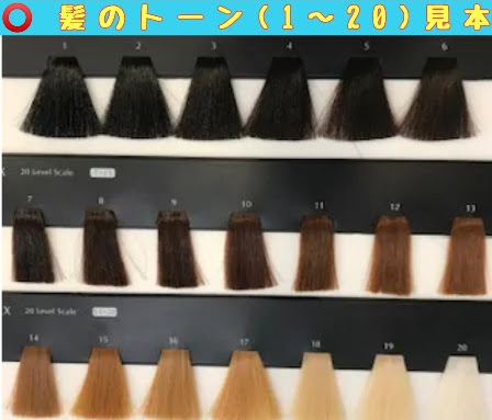 髪色戻しと黒染めの違いと重要な注意点 髪技屋さんの髪ブログ