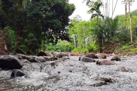 Air Terjun Perjuangan - Lokasi, Tiket Masuk & Pesona Alam - Pariwisata