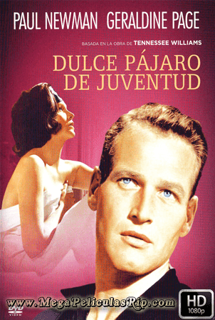 El Dulce Pajaro De La Juventud 1080p Latino