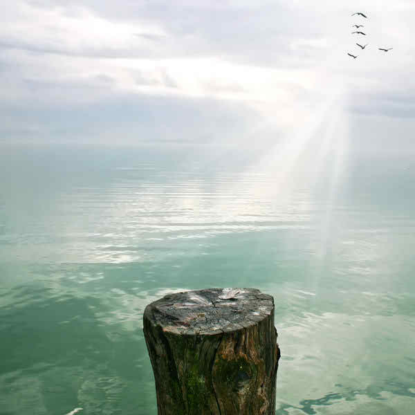 HD NATURE WALLPAPERS & BACKGROUND | HD WALLPAPERS 2020