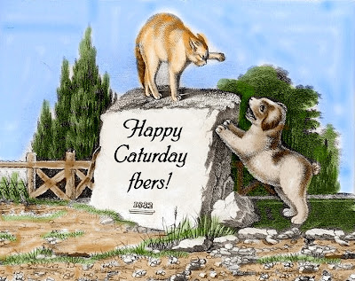 Collection of Caturday