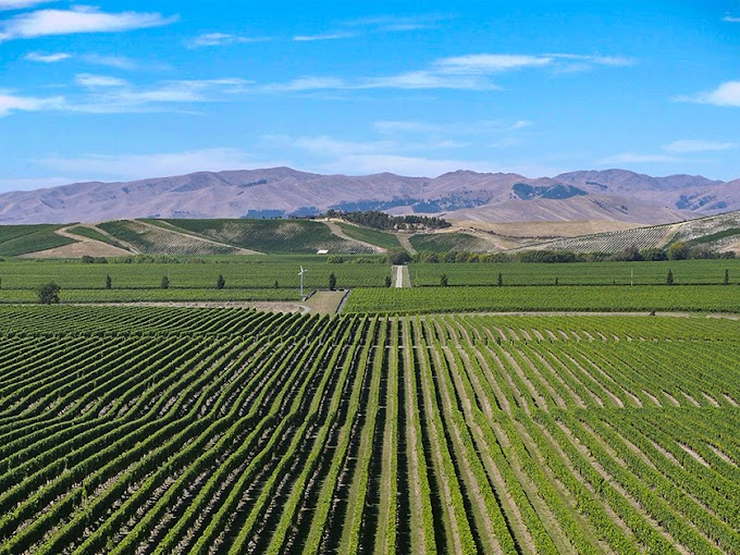 Hawkes Bay Wine Region