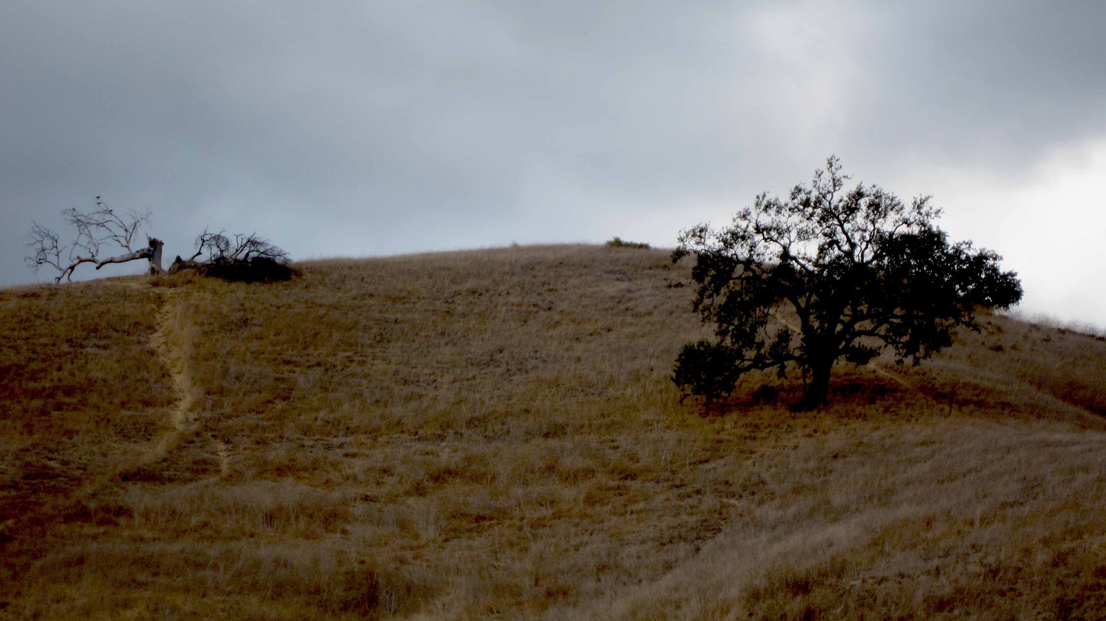 The Museum of the San Fernando Valley CALABASAS PUMPKIN FESTIVAL