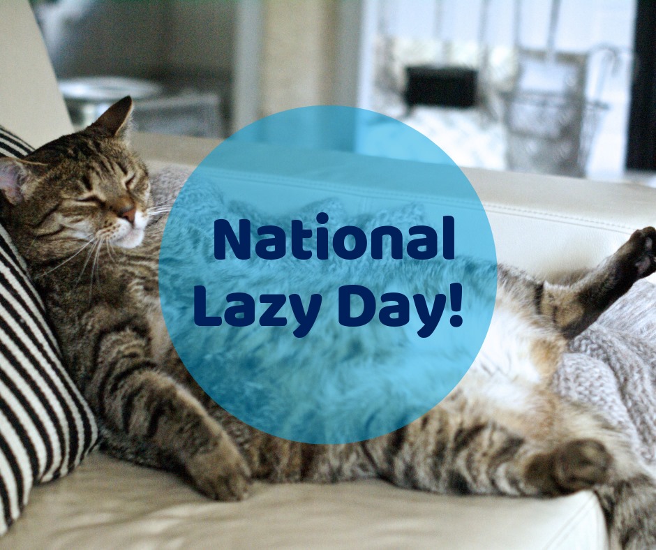 National Lazy Day 2024 Images Tiena Gertruda
