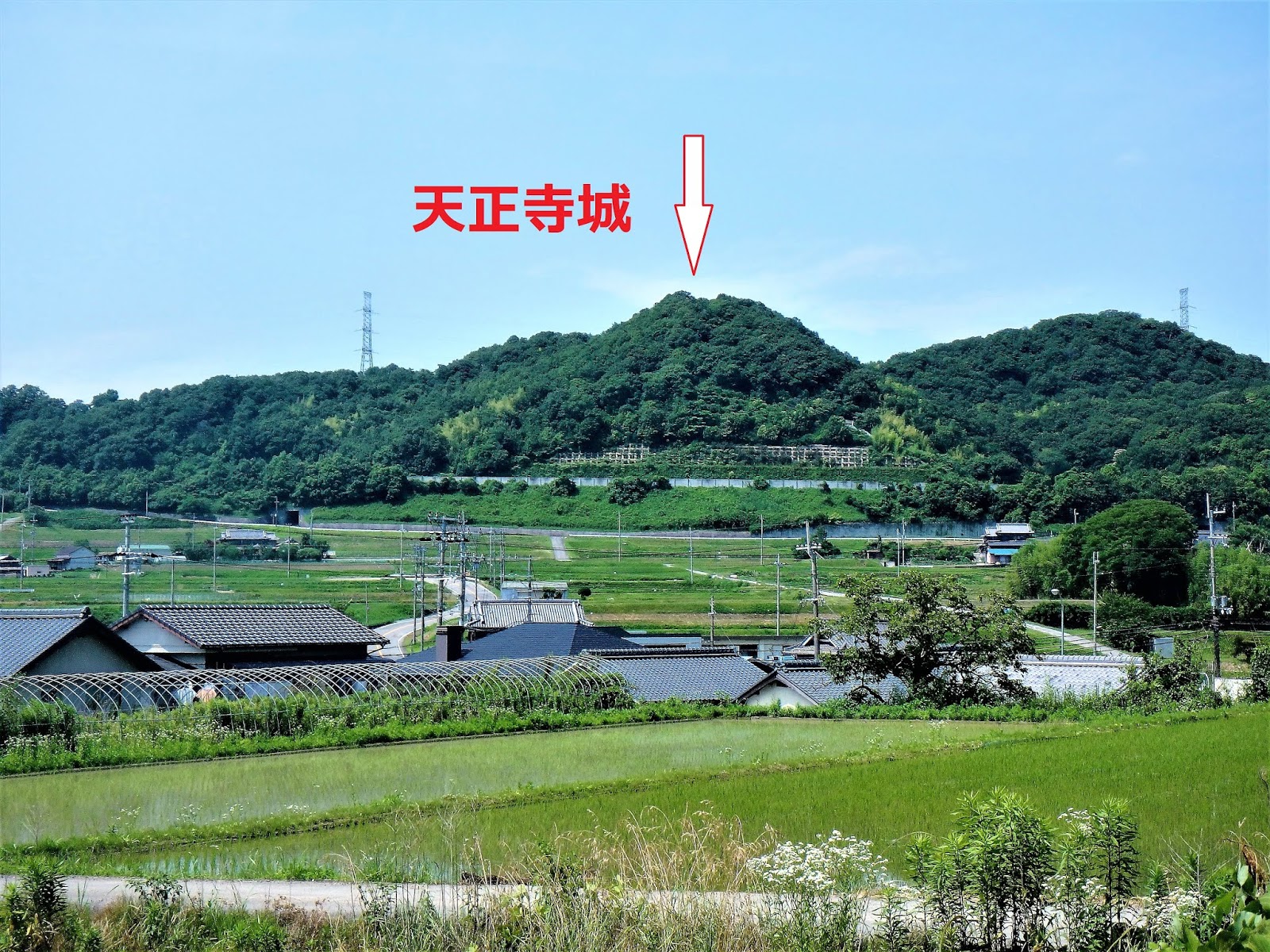 西国の山城 天正寺城 兵庫県神戸市北区淡河町淡河