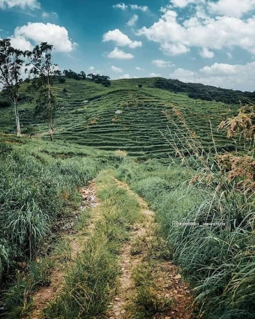 මන්දාරම් අඳුරින් හැඩ වූ - මන්දාරම්නුවර 🥦🌳(Mandaram Nuwara🍃) - Your Choice Way