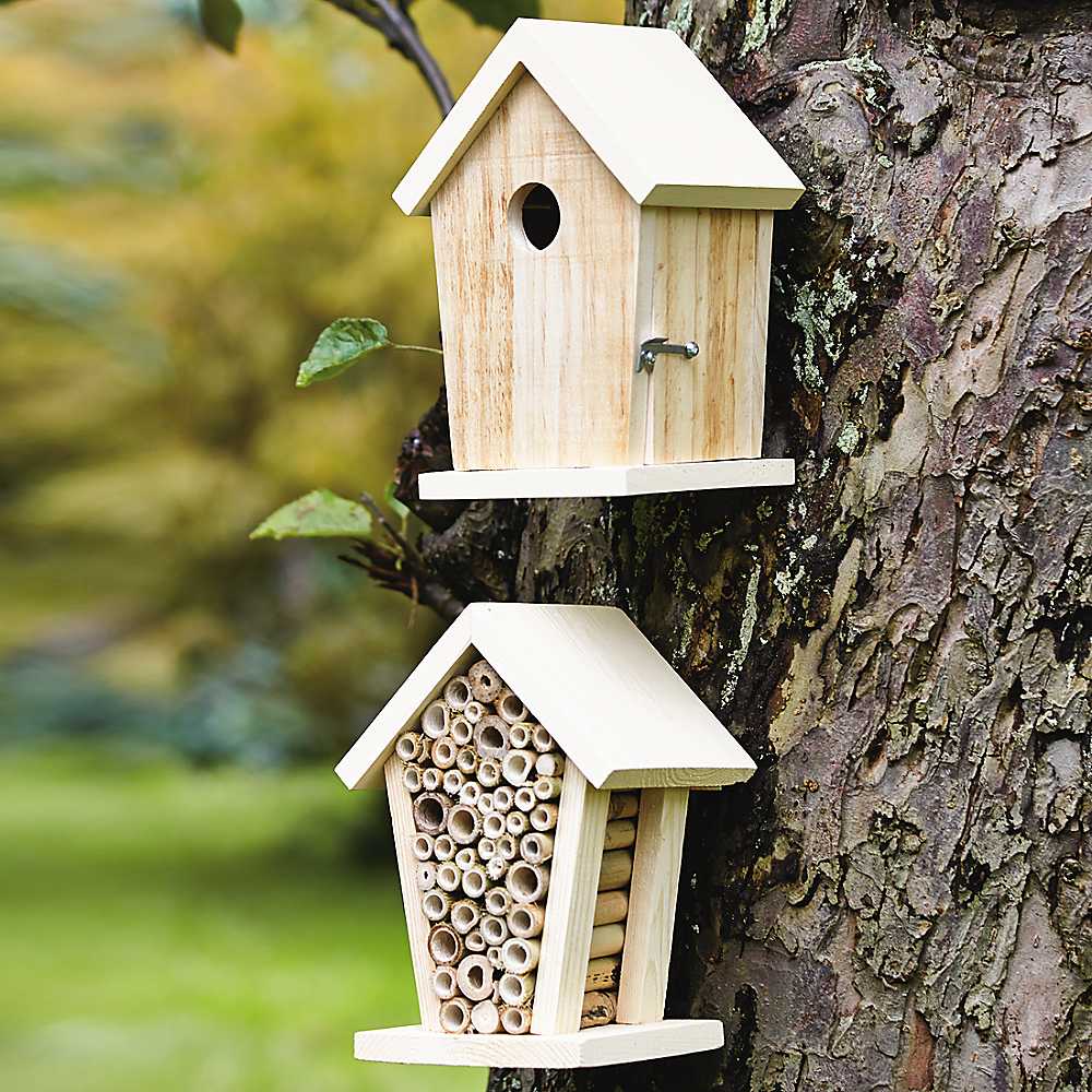 Bird In Everything Bird Box