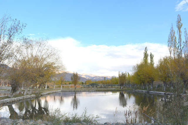Lake Opposite Shey Palace Lake Opposite Shey Palace